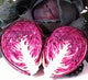 Cabbage "Red Acre"
