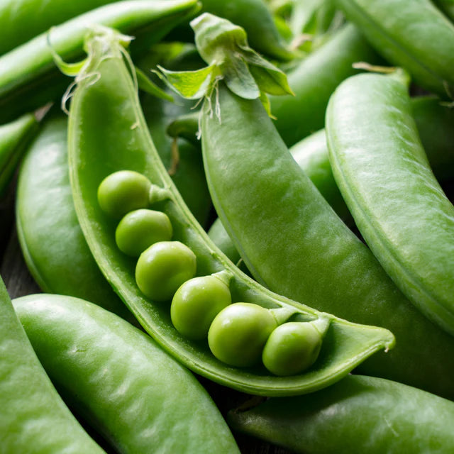 Pea Sugarsnap "Cascadia"