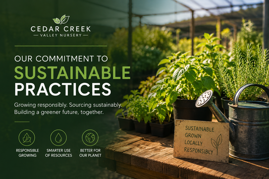 Our Commitment to Sustainability: Growing Responsibly, Sourcing Smarter