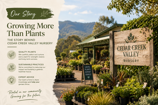 Growing More Than Plants - The Story Behind Cedar Creek Valley Nursery
