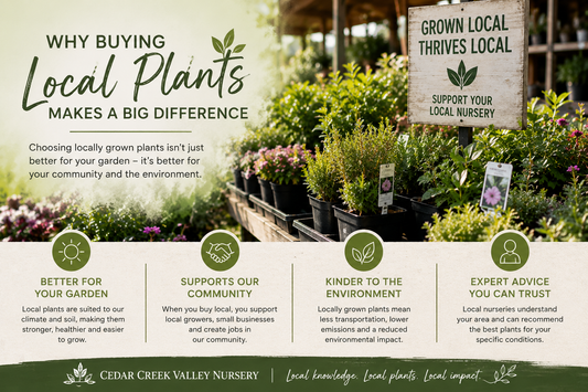 Why Buying Local Plants Makes A Big Difference