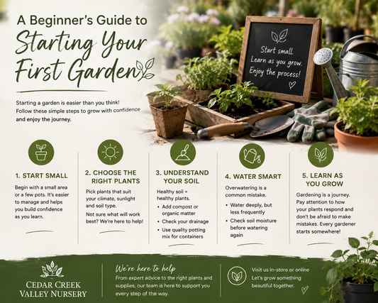 A Beginner's Guide To Starting Your First Garden