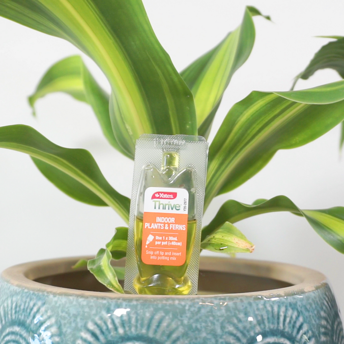 Yates 30mL Thrive Indoor Plants & Ferns Drippers - 5 Pack