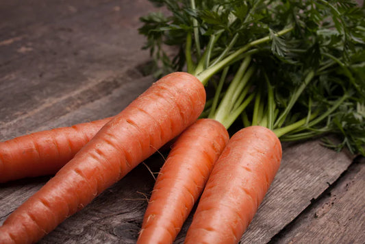 Carrot "All Seasons"