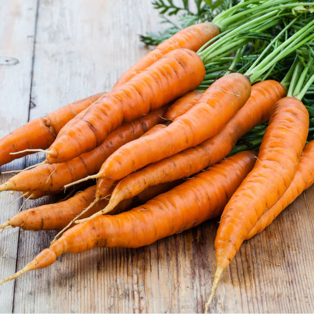 Carrot "All Seasons"